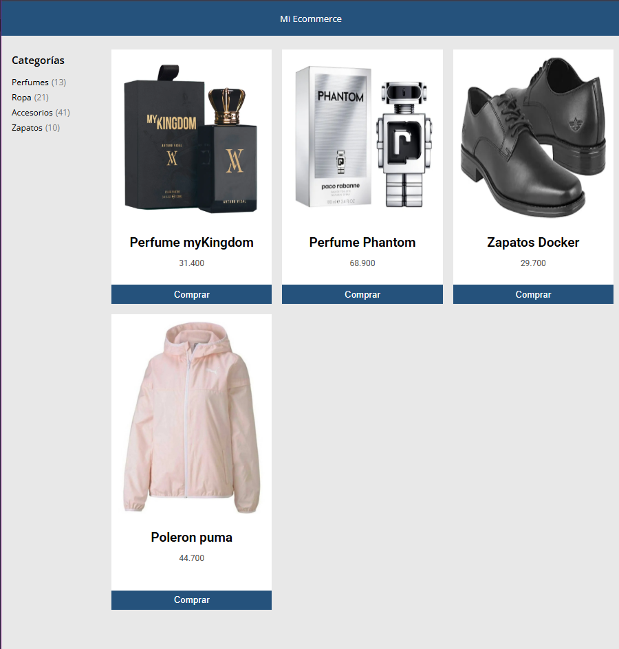 Ecommerce Project screenshot in a computer monitor