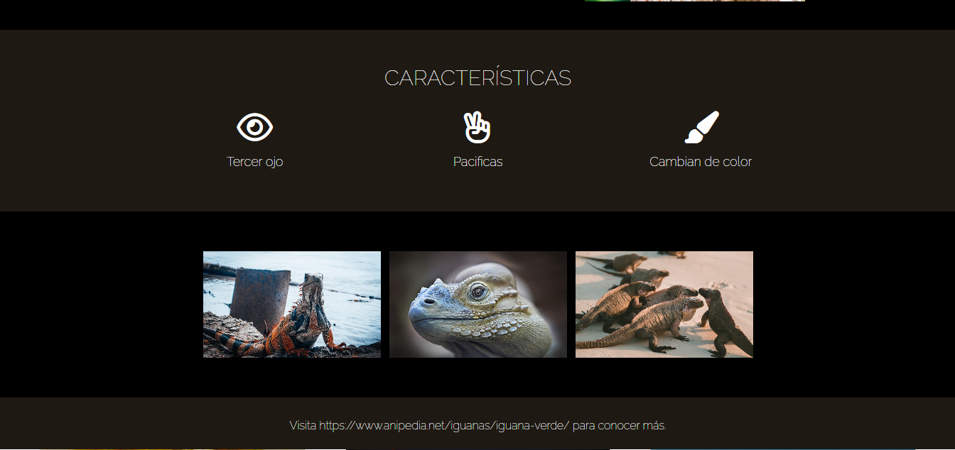 Iguanas Project screenshot in a computer monitor